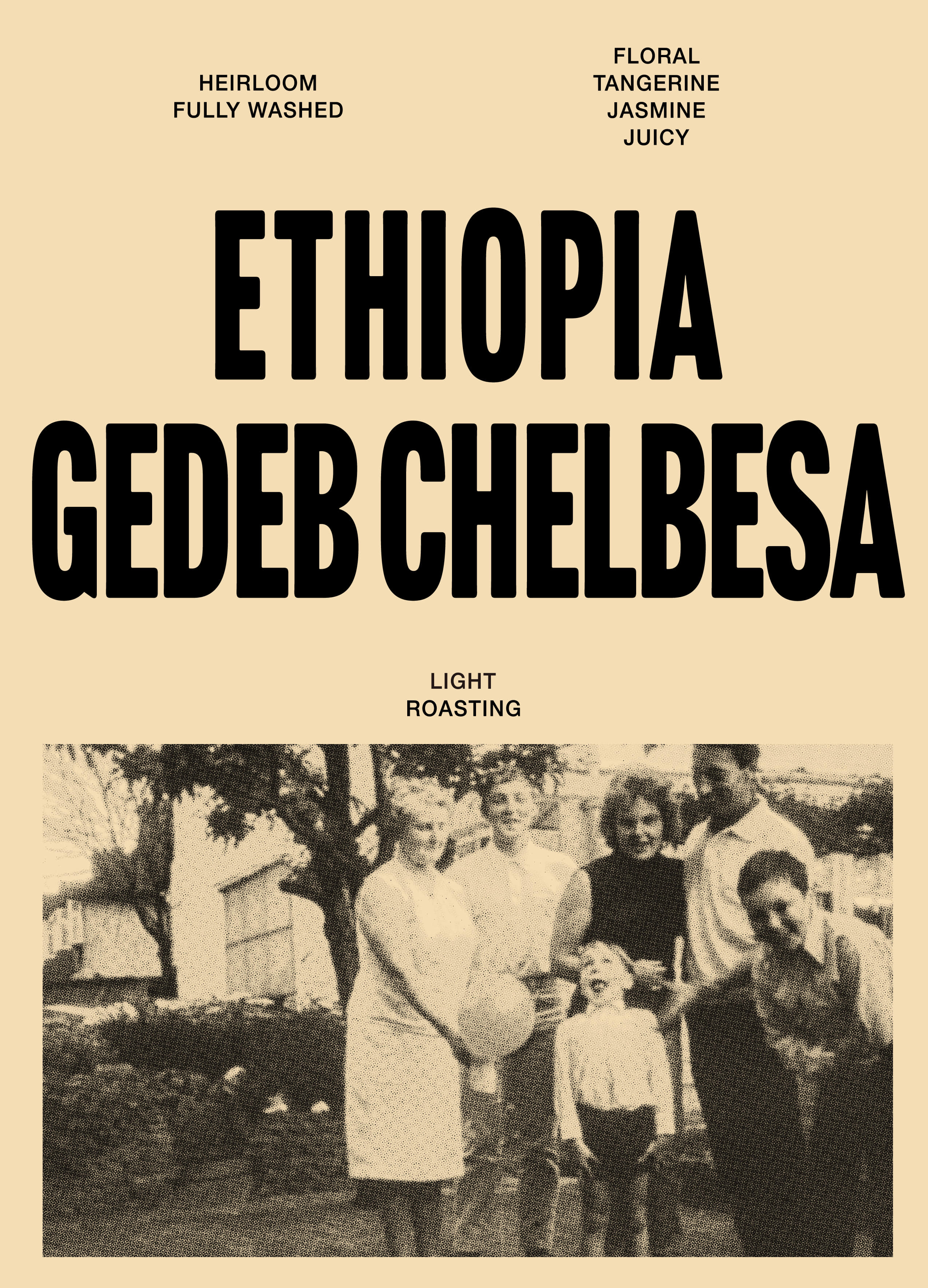 에티오피아 게뎁 첼베사 워시드
